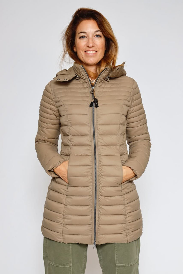 PLUMIFERO M49495-TERRA