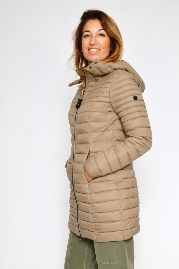 PLUMIFERO M49495-TERRA