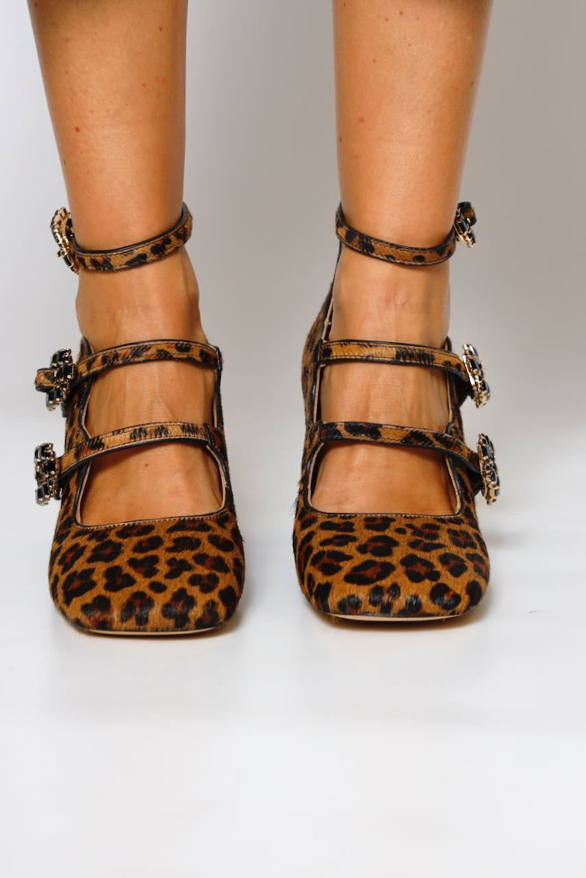 ZAPATO I240212-CAMEL